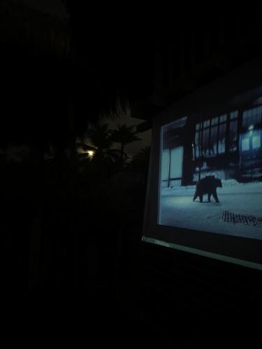 a computer screen with a bear in the dark at Cabaña Kindi in Moñitos
