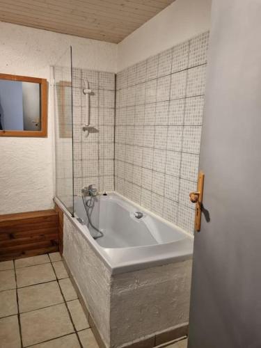 une salle de bain avec baignoire et douche dans l'établissement Ecurie - Gite 4 à 6 personnes, à La Salvetat-sur-Agout