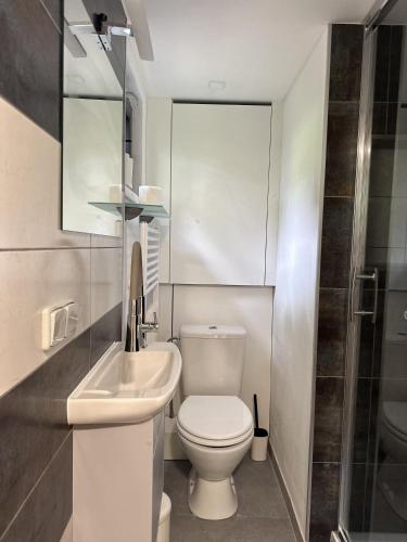 Ένα μπάνιο στο Mini Apartman - G - Vyhlídka nad řekou