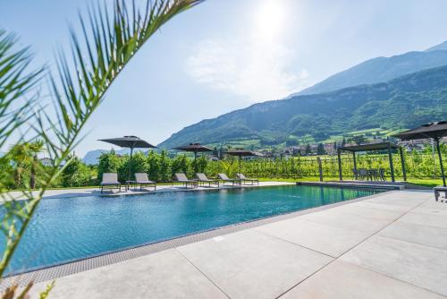 a swimming pool with chairs and umbrellas and mountains at Ferienwohnungen Zwerger Reinhold in Termeno