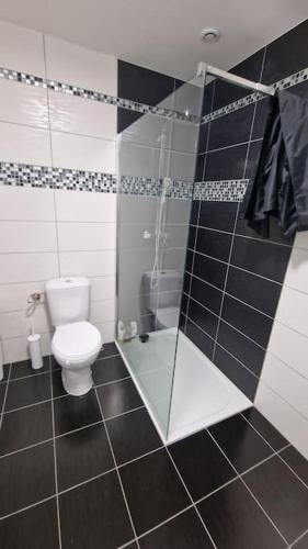 a bathroom with a toilet and a glass shower stall at Maison vue exceptionnelle in Niaux