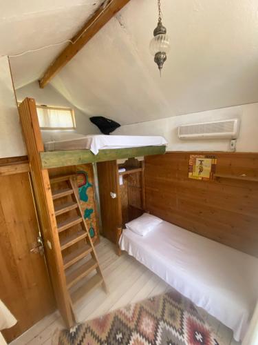 a room with two bunk beds in a house at Kaplumbağa Bungalows in Fethiye