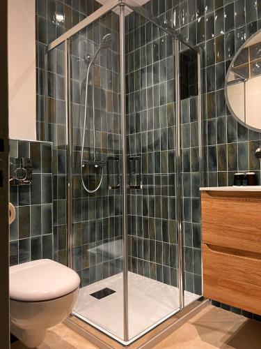 une salle de bain avec douche et toilettes dans l'établissement T2 Les pieds dans l'eau, à Belvédère