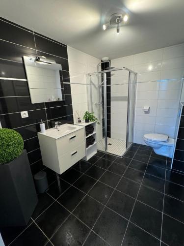une salle de bain avec une douche, un lavabo et des toilettes dans l'établissement Appartement terrasse et jardin, à Saint-Julien-les-Villas