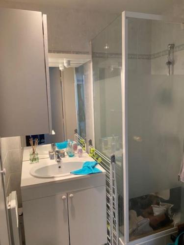 une salle de bain avec un lavabo et une douche dans l'établissement Superbe vue mer panoramique F3, à Blonville-sur-Mer