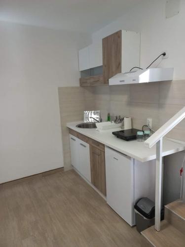 a kitchen with a sink and a counter top at Anidu Apartmani Banja Vrujci in Gunjica