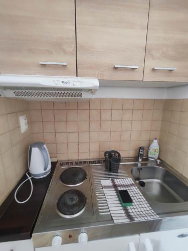 Kuchyň nebo kuchyňský kout v ubytování Apartmán Pohoda