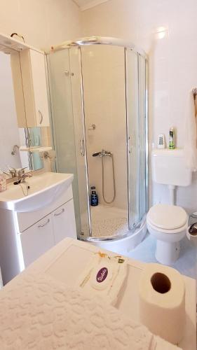 a bathroom with a shower and a toilet and a sink at Dignano in Vodnjan