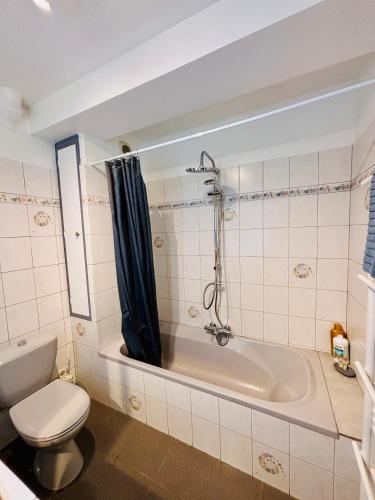 a bathroom with a toilet and a bath tub at Honoriane - Appartements meublés in Gien