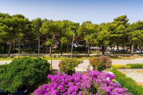 Hektor Top Position Novalja