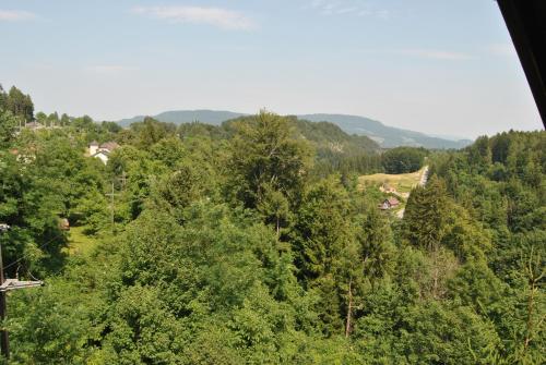 a view of a forest with a road in the distance at Ferienwohnung Rosenbach in Rosenbach