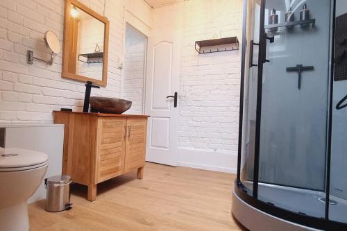 a bathroom with a sink and a toilet and a mirror at l'Atelier - Au pied des quais in Dunkerque
