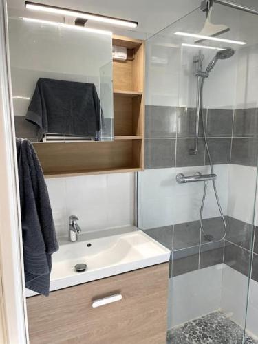 une salle de bain avec un lavabo et une douche dans l'établissement Proche du Mont Ventoux au calme, à Saint-Trinit