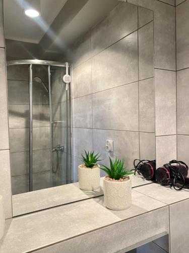 a bathroom with two potted plants on a counter at Doba Rent POKOJE CENTRUM PAŁACOWA in Białystok