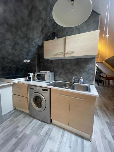 une cuisine avec un évier et une machine à laver dans l'établissement LE LOFT DU DOUBS, à Besançon