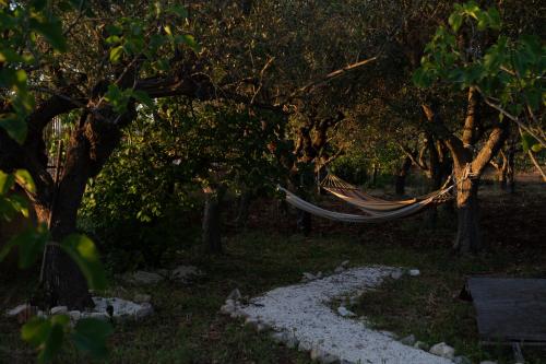 a hammock hanging from trees in a forest at Casa Vacanze Villa Dan in Impalata