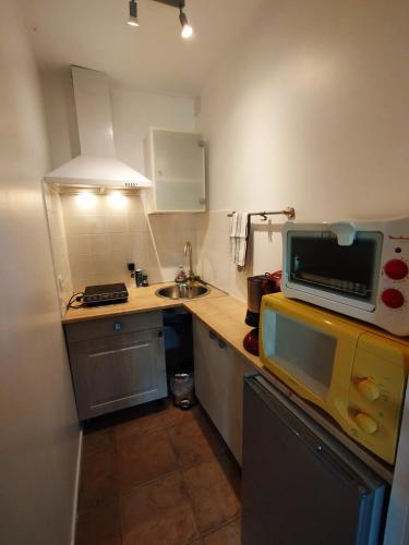 a small kitchen with a sink and a microwave at Gîte des Fours in Agonges