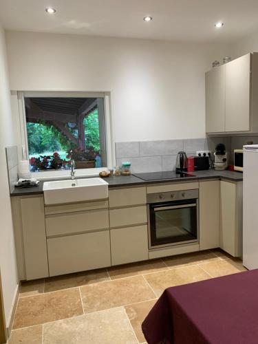 une cuisine avec un évier et une fenêtre dans l'établissement Au Bonheur des Oiseaux, à Larocal