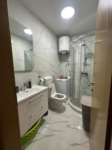 a bathroom with a toilet and a sink and a shower at Apartman Majba 2 in Zaglavice
