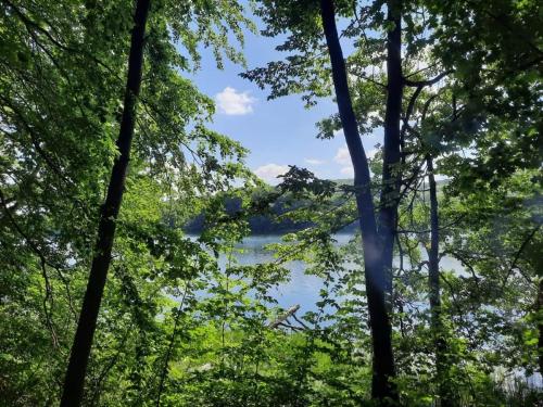 a view of a lake through the trees at Pod Żurawiem Urokliwy domek na Kaszubach in Michalin