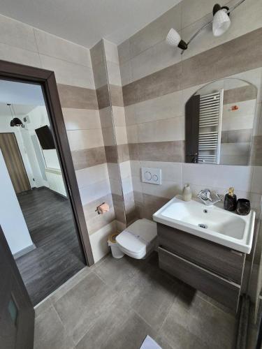 a bathroom with a sink and a toilet and a mirror at Emiri Apartament in Hunedoara