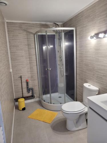 une salle de bain avec une douche, des toilettes et un lavabo dans l'établissement Appartement en plein centre, à La Turballe