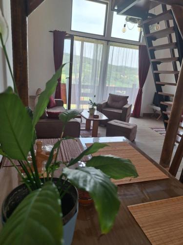 a living room with a couch and a table with a plant at Brvnara Beni in Vrdnik