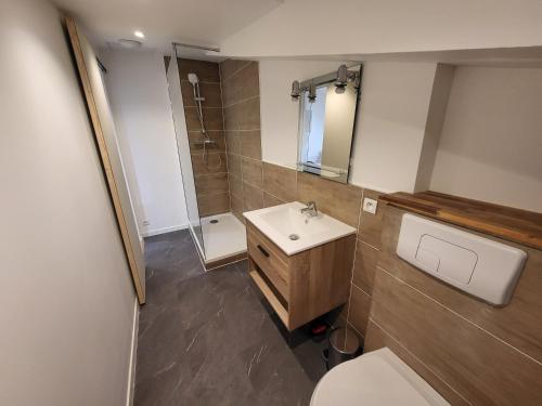 une salle de bain avec toilettes et lavabo dans l'établissement Le toit du Rhône, Studio, à Tournon-sur-Rhône