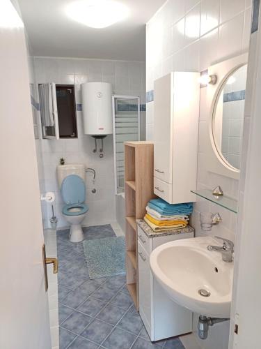 a bathroom with a sink and a toilet at Apartmani Saška 1 in Privlaka