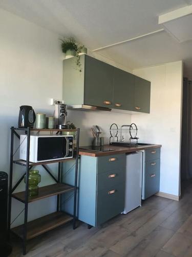 une cuisine avec une cuisinière et un micro-ondes dans l'établissement Appartement pour 1 à 4 Pers Terrasse et Parking, à La Grande Motte