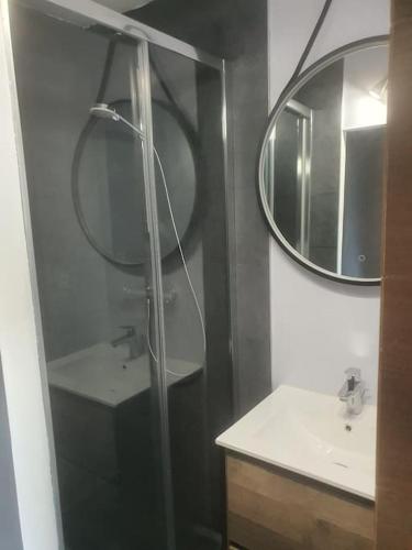 une salle de bain avec une douche, un lavabo et un miroir dans l'établissement Appartement pour 1 à 4 Pers Terrasse et Parking, à La Grande Motte