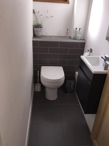 a small bathroom with a toilet and a sink at Jangilau - Large, triple aspect apartment in central Morzine in Morzine