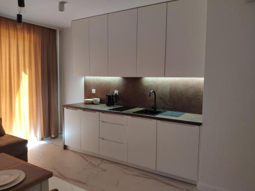 Kuchyň nebo kuchyňský kout v ubytování Augustów BRYZA Apartament z widokiem na jezioro Necko