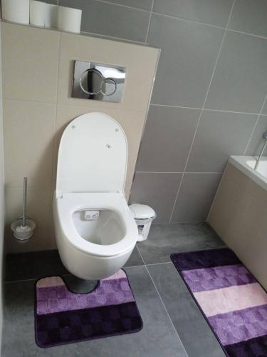 a bathroom with a toilet with purple rugs at Merunky pod Palavou in Šakvice