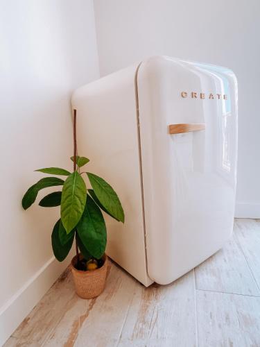 a plant sitting next to a white refrigerator at Captain Cook AHOY in Praia da Areia Branca