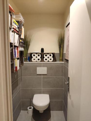 une salle de bain avec des toilettes blanches dans une chambre dans l'établissement Charmant deux pièces moderne, à Saint-Ouen