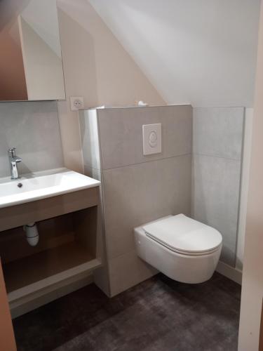 une salle de bain avec toilettes et lavabo dans l'établissement CHAMBRE D HOTES AU COEUR DE MEURSAULT, à Meursault