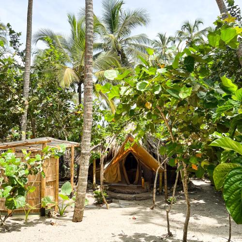 Lote 10 Tayrona Glampingにある庭