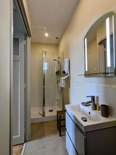 une salle de bain avec un lavabo et une douche dans l'établissement Parenthèse en centre ville, à Roanne