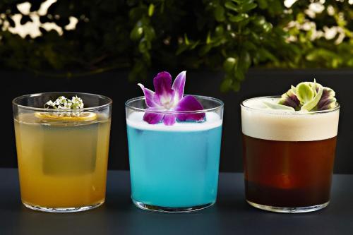 three cocktails on a table with a flower on top at Marriott Bethesda Downtown at Marriott HQ in Bethesda