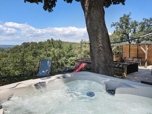 Le grand chêne vert - Bagnols-sur-Cèze