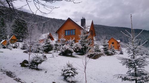 a house with snow on the ground in front at Kozichky Guest House in Tatariv