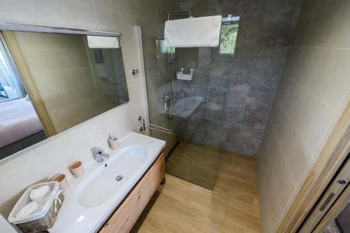 a bathroom with a sink and a shower at Luxury apartment Barka in Villa with heated pool in Vinišće