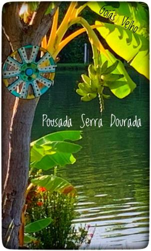 a picture of a tree next to a body of water at Pousada Serra Dourada in Goiás