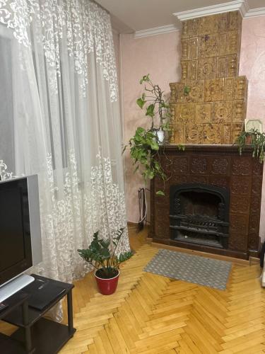 a living room with a fireplace and a television at Popas Regal in Bălţi