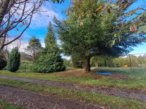 Um jardim em Cabañas Los Notros
