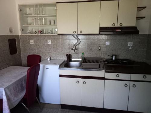 Kuchyň nebo kuchyňský kout v ubytování Apartman medju borovima