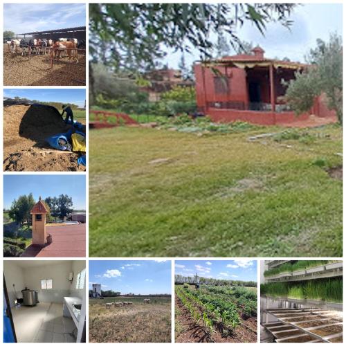 Un collage de imágenes de diferentes tipos de edificios. en FermeBao, en Settat
