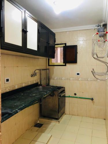 a kitchen with a sink and a shower at Maria Apartment in Alexandria
