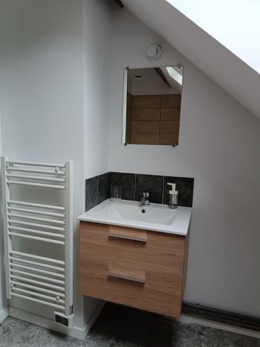 une salle de bain avec un lavabo et un miroir dans l'établissement Gîte au milieu des vignes, à Saint-Aignan